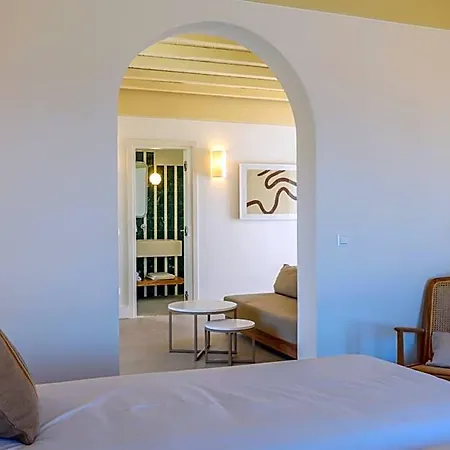 Camarades Mykonos Hotel Ano Mera
